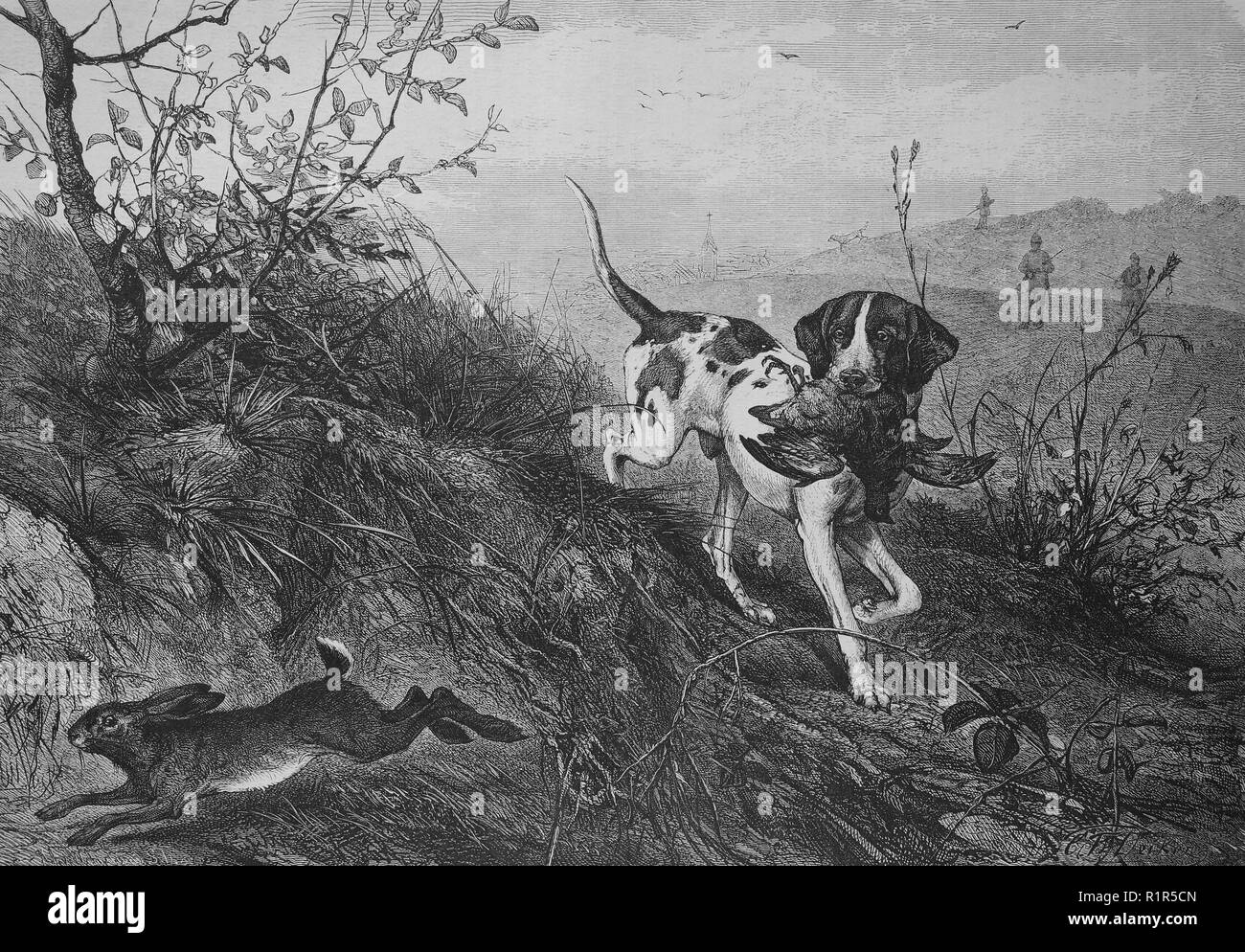 L'amélioration de la reproduction numérique, un chien porte un tout en faisan un lièvre s'enfuit, tirage original de l'année 1880 Banque D'Images