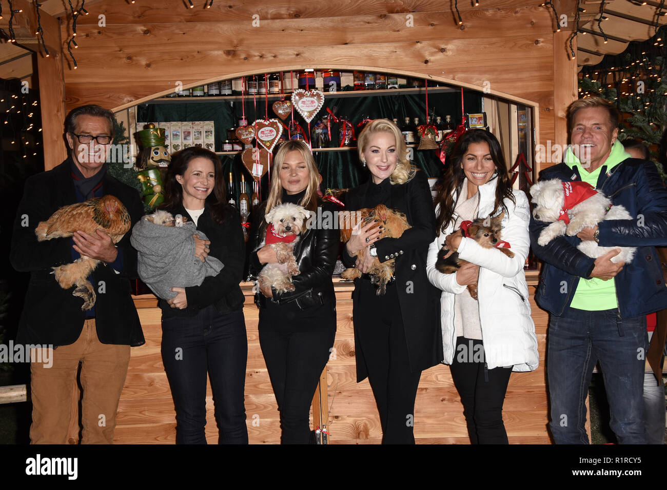 13 novembre 2018, l'Autriche, Neumarkt : l'acteur britannique Rupert Everett (l-r), l'actrice Kristin Davis, le modèle britannique Kate Moss, Kathrin Glock, épouse du producteur d'armes Glock, producteur de musique Dieter Bohlen et son partenaire Carina Walz maintenir les animaux dans leurs bras à la pré-ouverture traditionnelle du marché de Noël du Gut Aiderbichl. Dieter Bohlen et producteur de musique son garder les animaux dans leurs bras pendant la traditionnelle de pré-ouverture du marché de Noël du Gut Aiderbichl. Le programme de 90 minutes "Weihnachten auf Gut Aiderbichl" sera diffusé le 19 décembre 2018 à 10 h 15 le SAM.1 Gol Banque D'Images