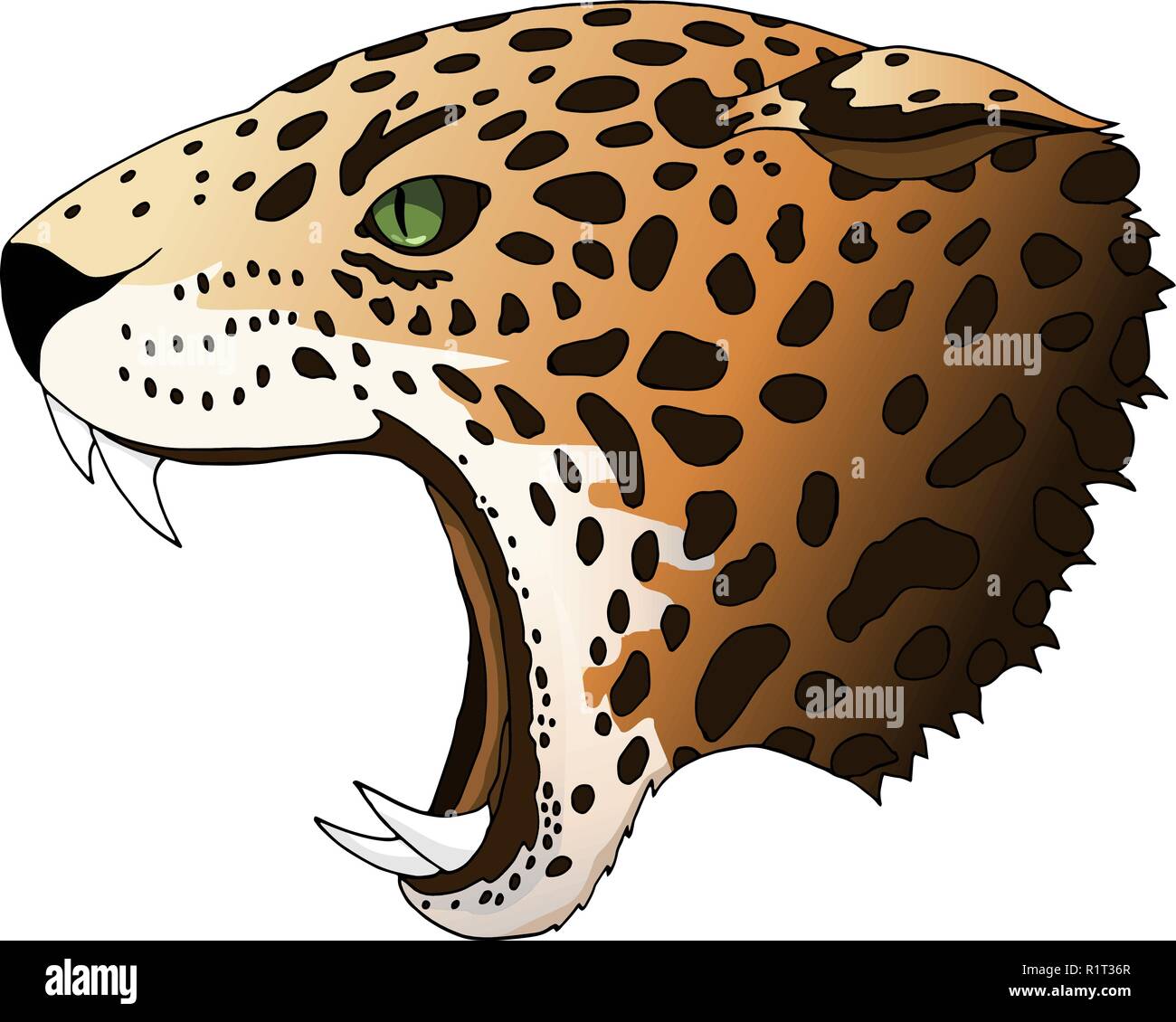 En colère vecteur leopard portrait. Le prédateur isolé colorés tête Jaguar  Image Vectorielle Stock - Alamy