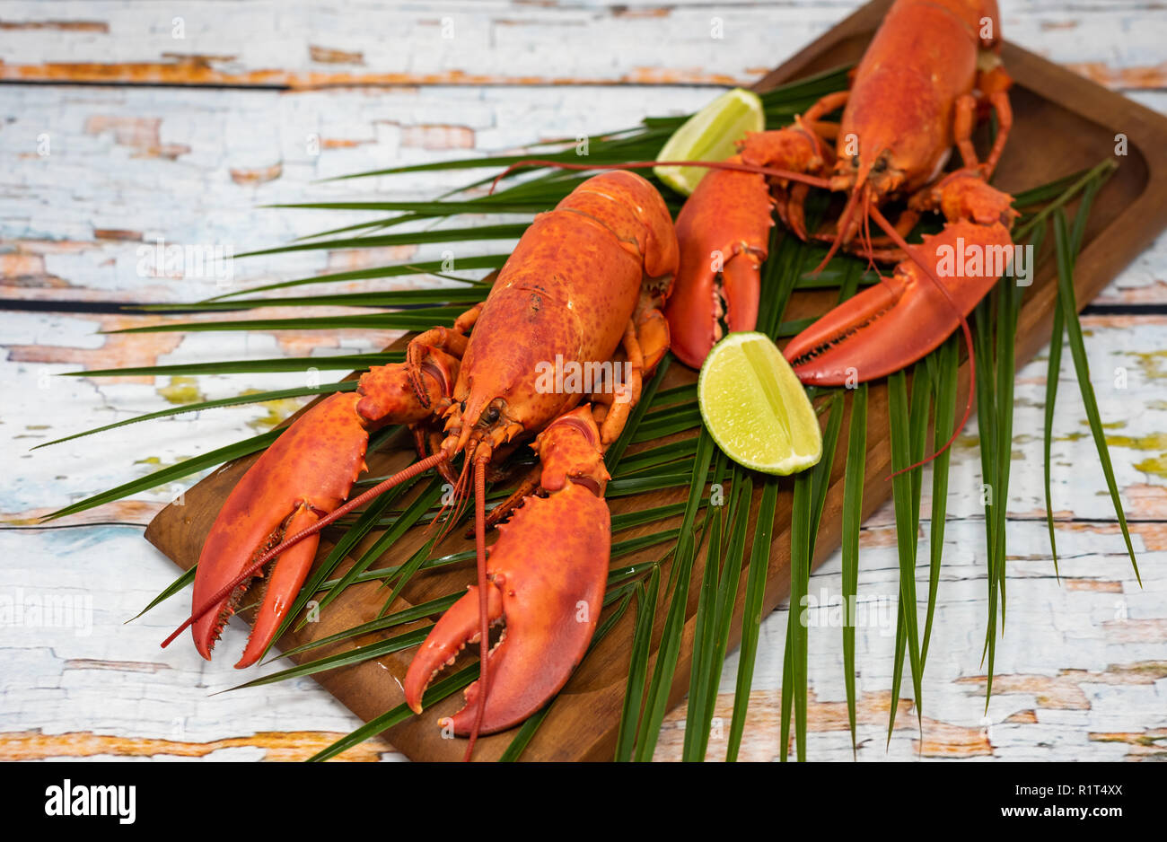 Gros plan de homard frais à la vapeur avec herbes dans une assiette grise photo Banque D'Images