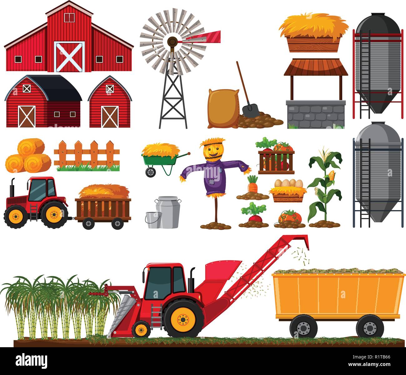 Ensemble de l'élément agricole de canne à sucre illustration Illustration de Vecteur