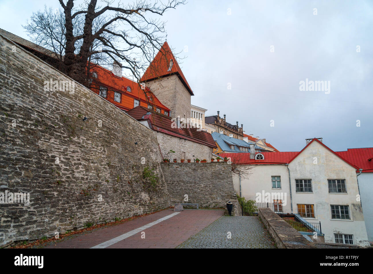 Vue sur les remparts de la vieille ville. L'Estonie, Tallinn. Banque D'Images
