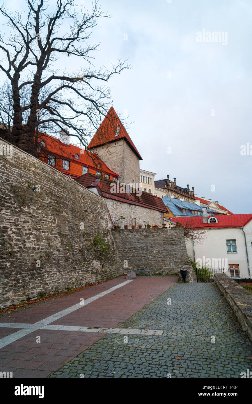 Vue sur les remparts de la vieille ville. L'Estonie, Tallinn. Banque D'Images