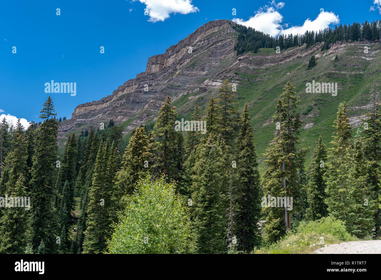 Banque de charbon passer le long de la route d'un million de dollars en été dans le Colorado montagnes San Juan Banque D'Images