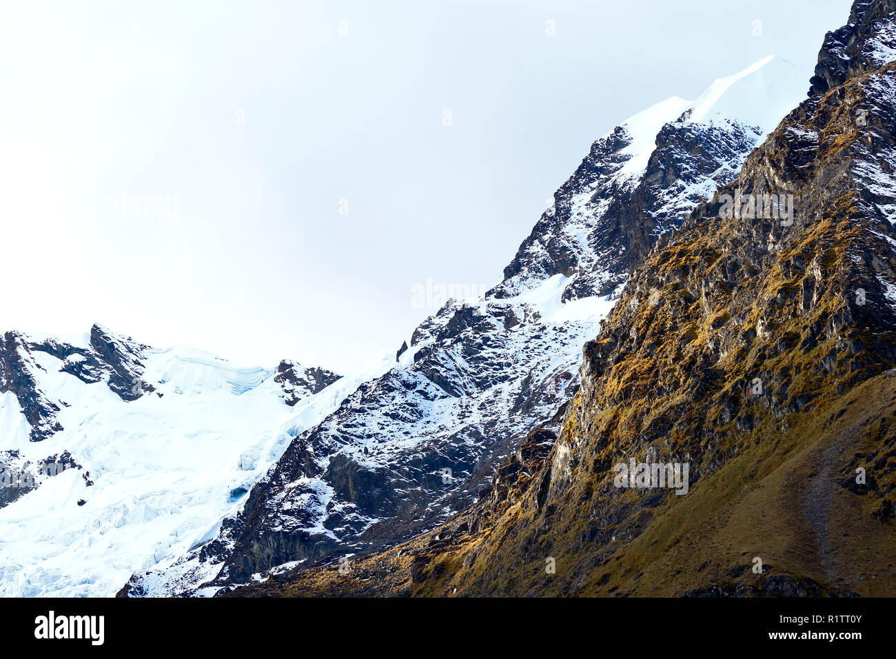 Détail de l'harfang Huaytapallana dans la cordillère centrale des Andes péruviennes lors d'un coucher du soleil. Banque D'Images