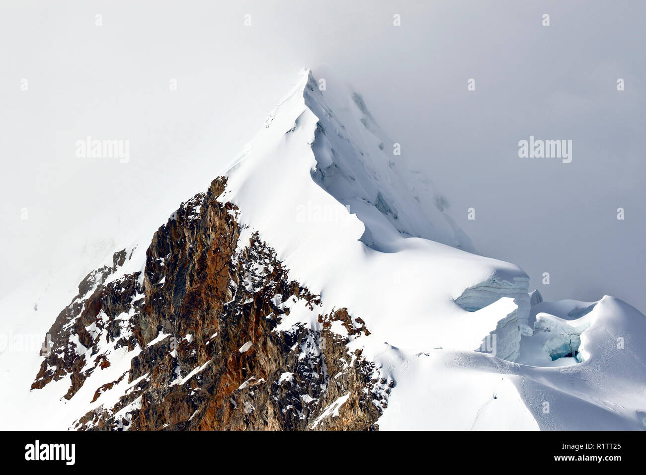 Détail de l'harfang Huaytapallana dans la cordillère centrale des Andes péruviennes lors d'un coucher du soleil. Banque D'Images