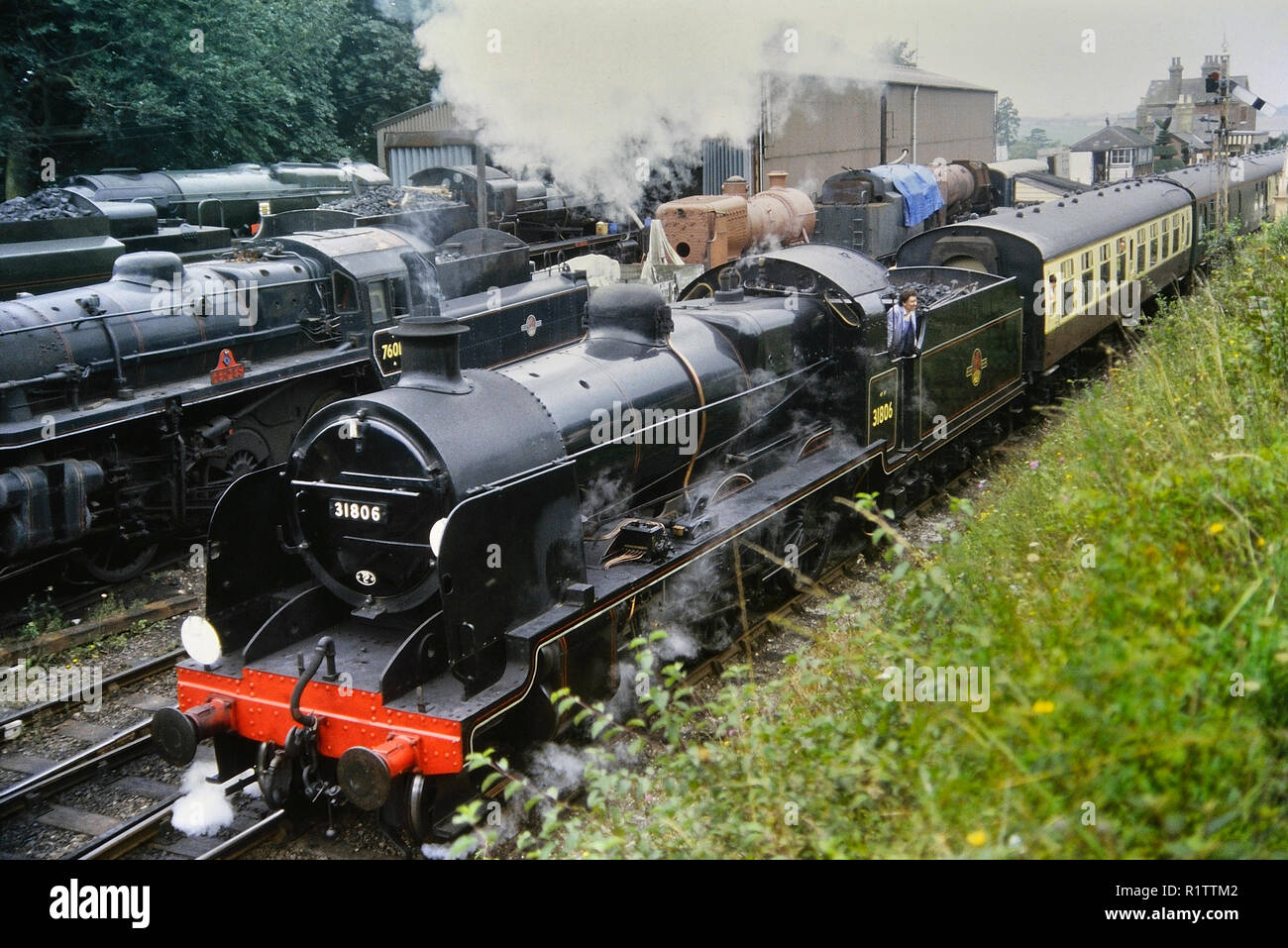 Le milieu Hants Railway 'ligne' de cresson, Hampshire, England, UK. Circa 1980 Banque D'Images