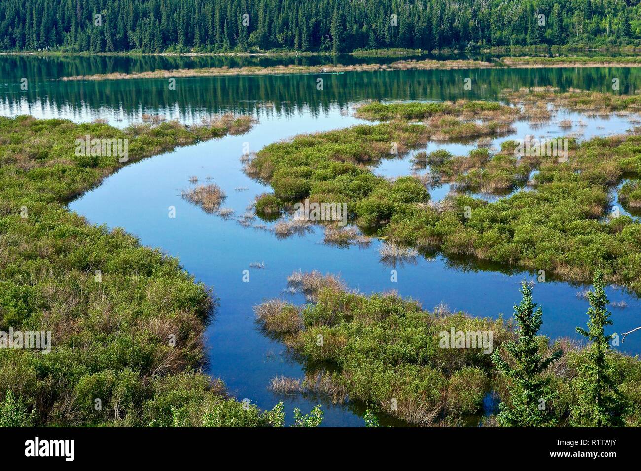 Les zones humides du réservoir à Calgary, Alberta Banque D'Images