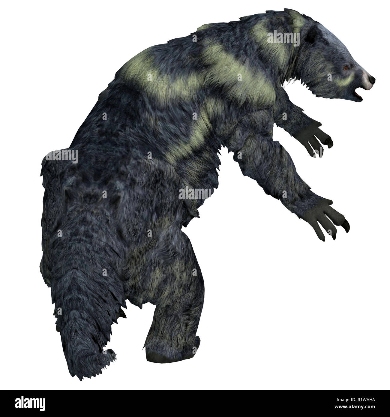 L'Eremotherium a été un paresseux marcheur géant herbivore qui vivait en Amérique du Nord et du Sud au cours de la période du pléistocène. Banque D'Images