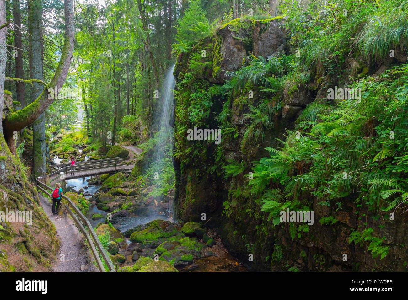 Sentier de randonnée, Menzenschwander cascade, Saint Blasien, Forêt-Noire, Bade-Wurtemberg, Allemagne Banque D'Images