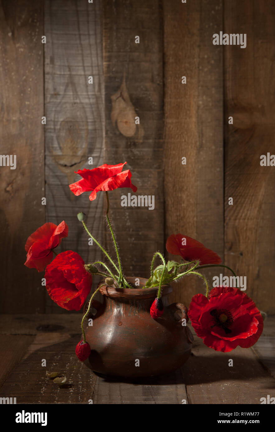 Coquelicots dans pot en argile contre l'ancien mur en bois Banque D'Images