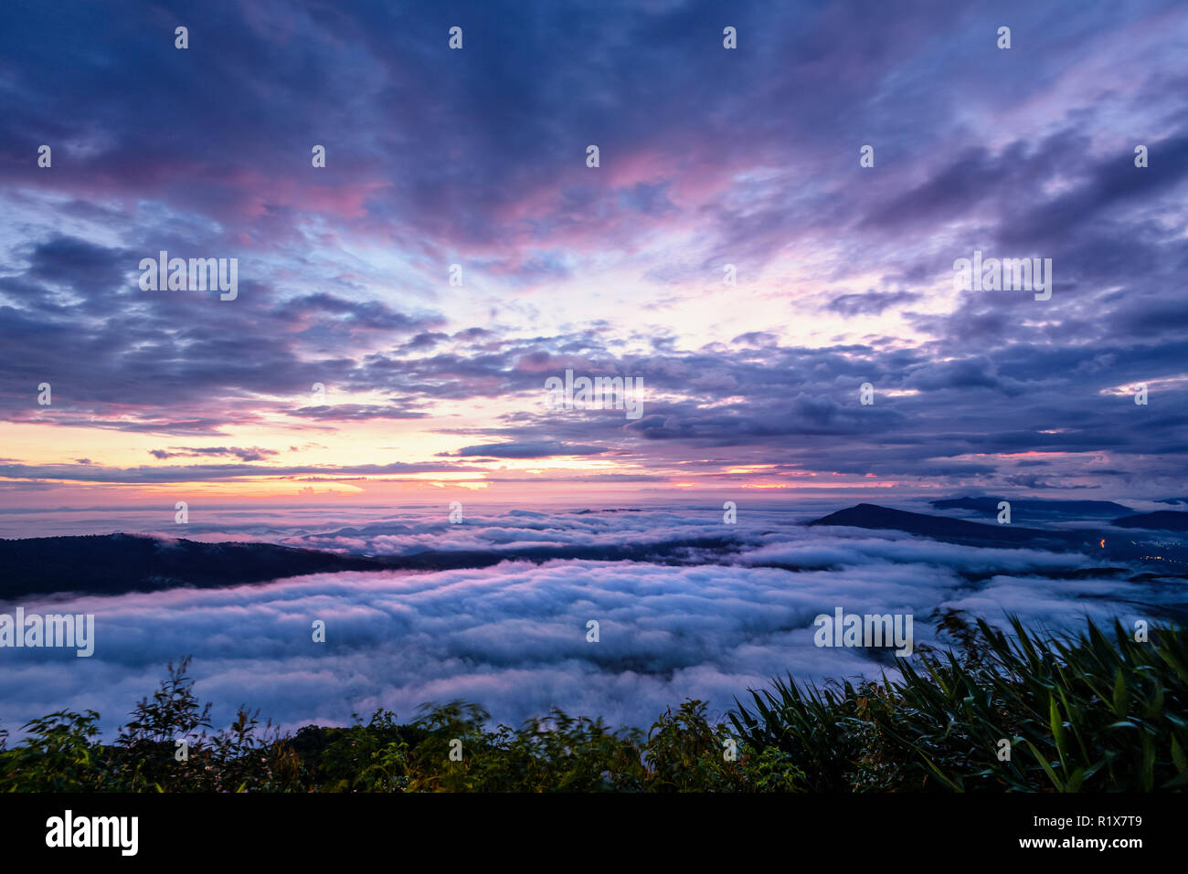 Belle nature paysage du brouillard couvre le sommet et le ciel coloré au lever du soleil en hiver, high angle view du point de vue de Phu R Banque D'Images