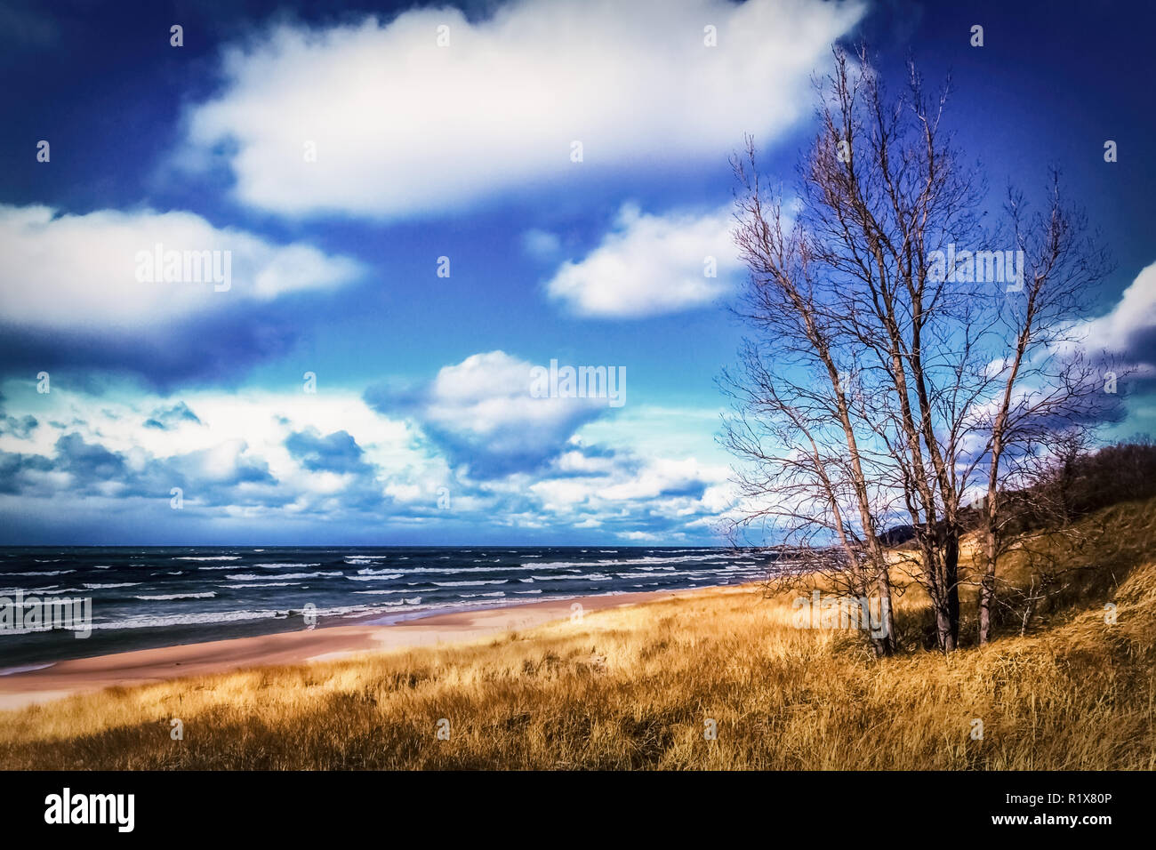 Automne au lac Michigan. Saugatuck Dunes State Park Beach. Arrière-plan avec copie espace Lakeshore. Banque D'Images