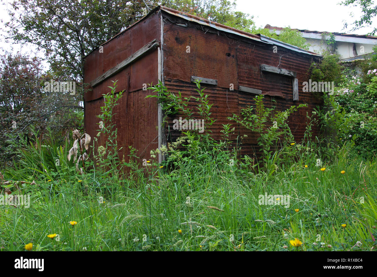 Rusty tin shed australie Banque D'Images