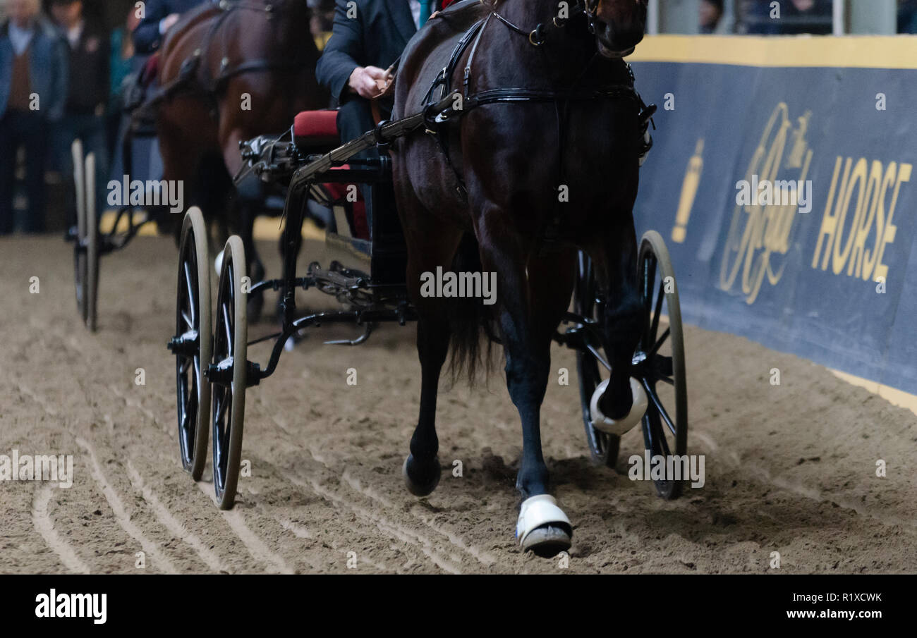 Fantaisie panier chevaux à la Foire agricole royale d'hiver Banque D'Images