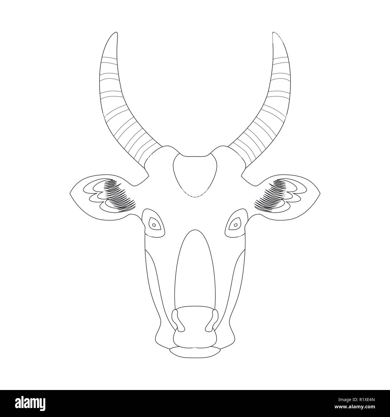 Tête d'une vache. Vector illustration. La coloration. Graphique linéaire Illustration de Vecteur