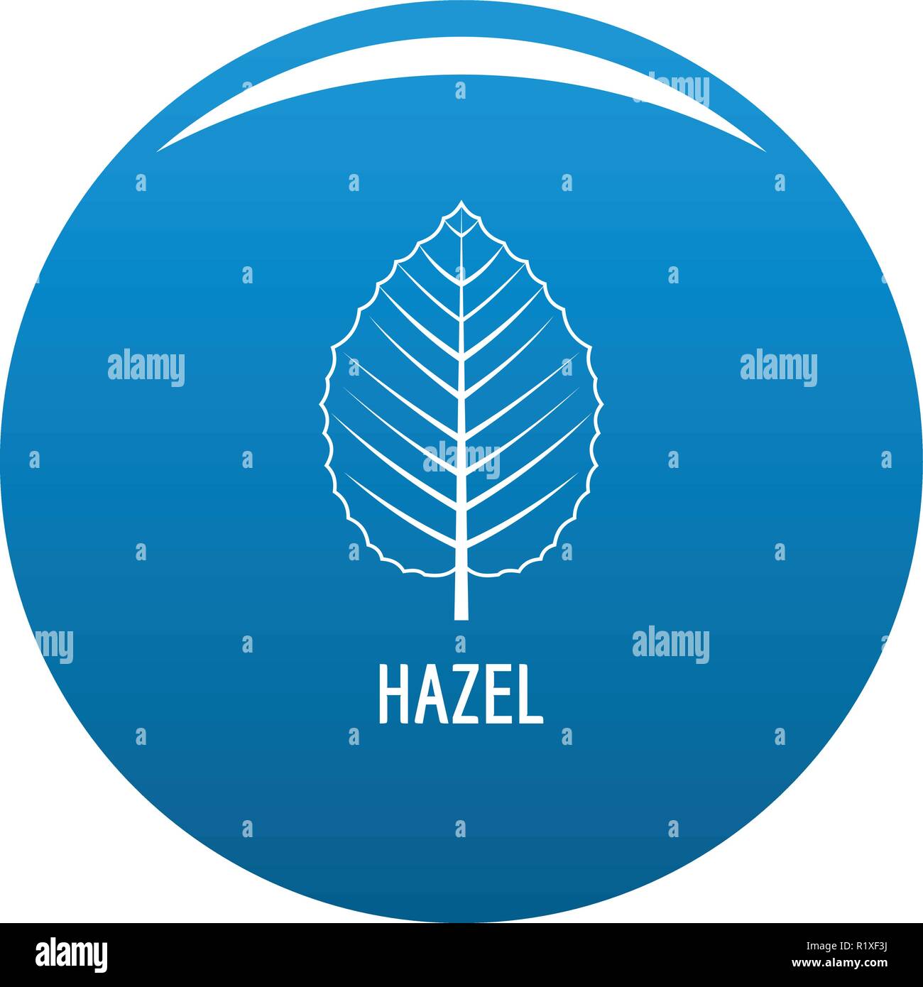 Feuille d'Hazel vecteur icône cercle bleu isolé sur fond blanc Illustration de Vecteur