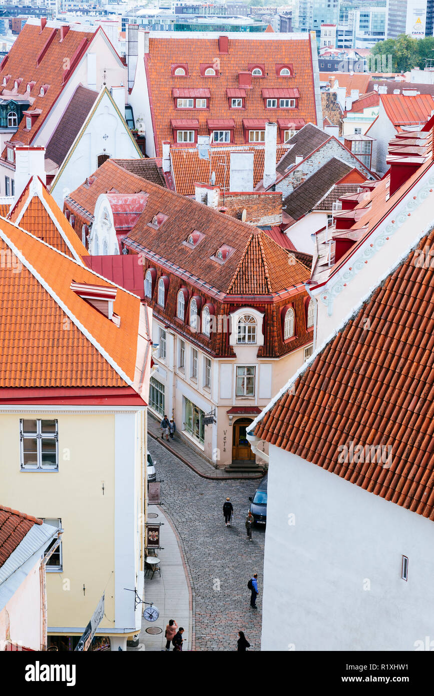 La vieille ville de Tallinn vu depuis un belvédère sur la colline de Toompea. Tallinn, Tartu, Estonie, de comté des États baltes, l'Europe. Banque D'Images