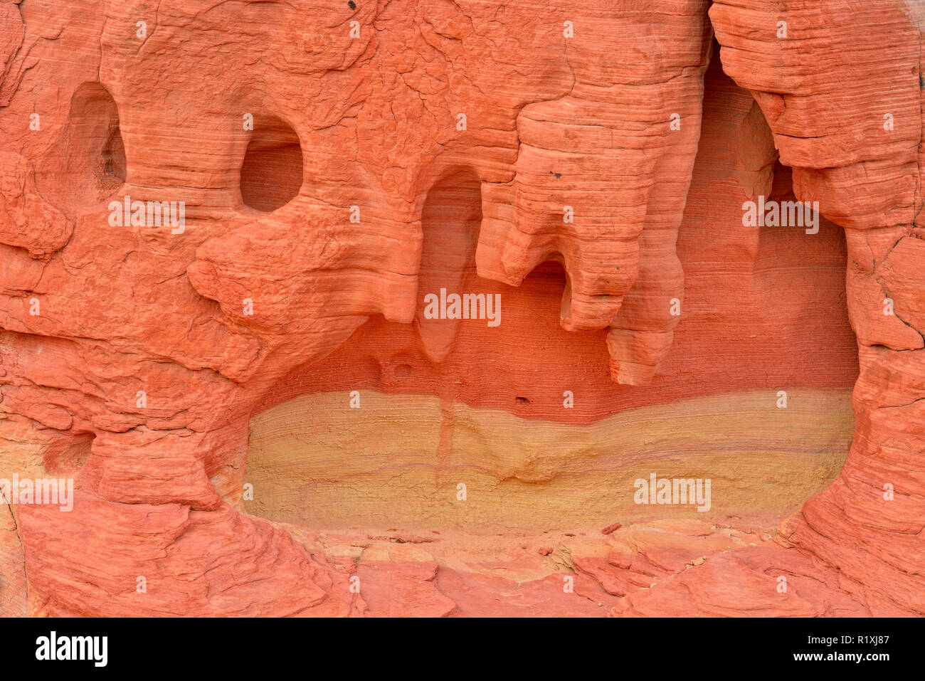 Des formations de roche de grès altéré le long de la route panoramique- Rainbow Vista, Valley of Fire State Park, Nevada, USA Banque D'Images
