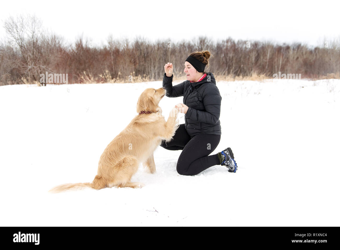 Une femme avec chien pour Canicross en hiver Banque D'Images