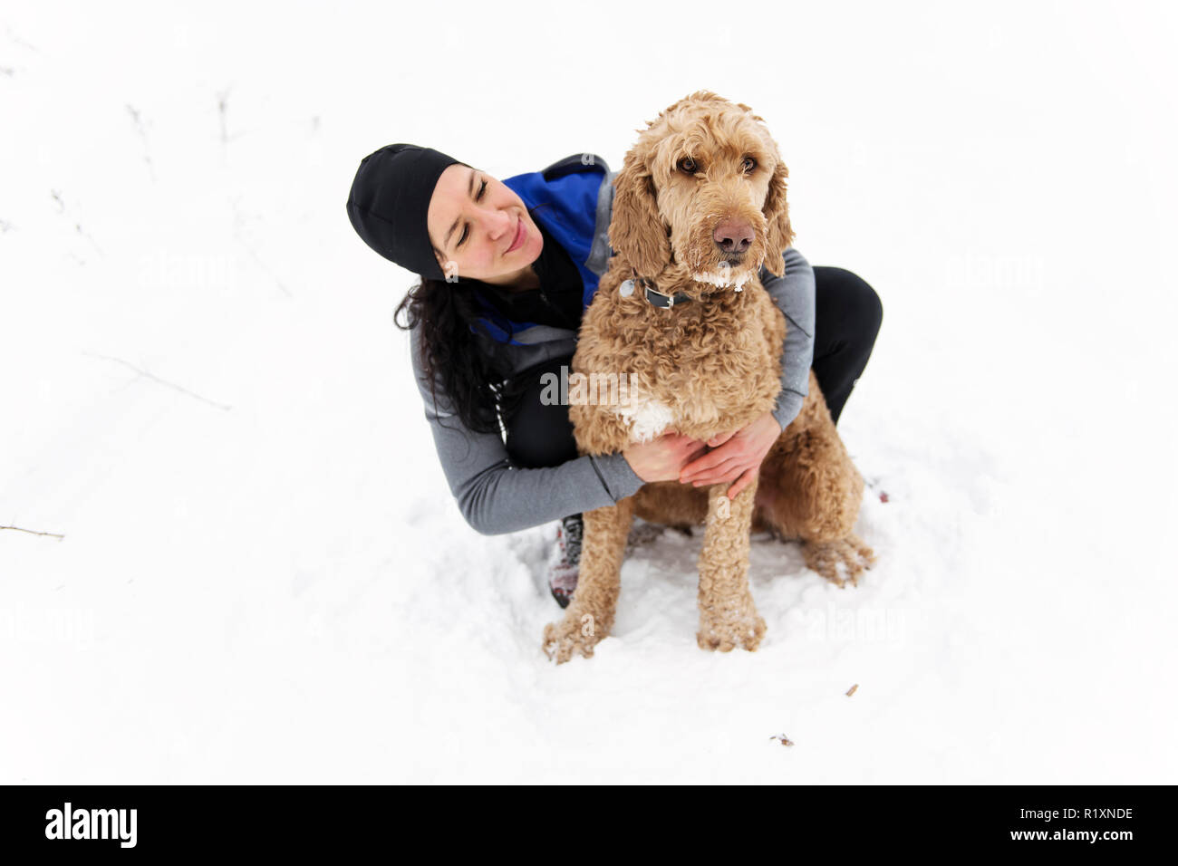 Une femme avec goldendoodle saison d'hiver Banque D'Images