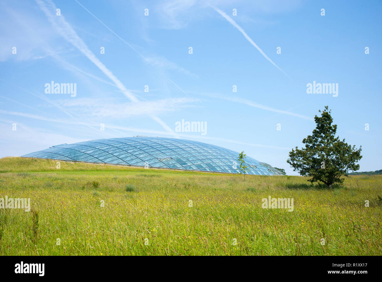 Toit en verre en forme de dôme de la grande serre du Jardin Botanique National du Pays de Galles, dans Carmarthenshire, UK Banque D'Images