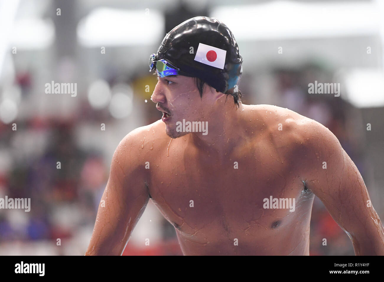 Singapour. 15 Nov, 2018. SUNAMA Keita (JPN), Nov 15, 2018 - Coupe du Monde de Natation FINA 2018 Singapour men's 200m dos Chaleur à OCBC centre aquatique à Singapour. Credit : Haruhiko Otsuka/AFLO/Alamy Live News Banque D'Images