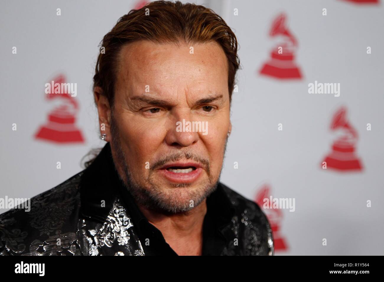 Las Vegas, NV, USA. 14Th Nov, 2018. Fher Olvera de Mana aux arrivées de 2018 l'Académie de l'enregistrement de la personne de l'année, Gala Mandalay Bay Events Center, Las Vegas, NV le 14 novembre 2018. Photo par : JA/Everett Collection Crédit : Everett Collection Inc/Alamy Live News Banque D'Images