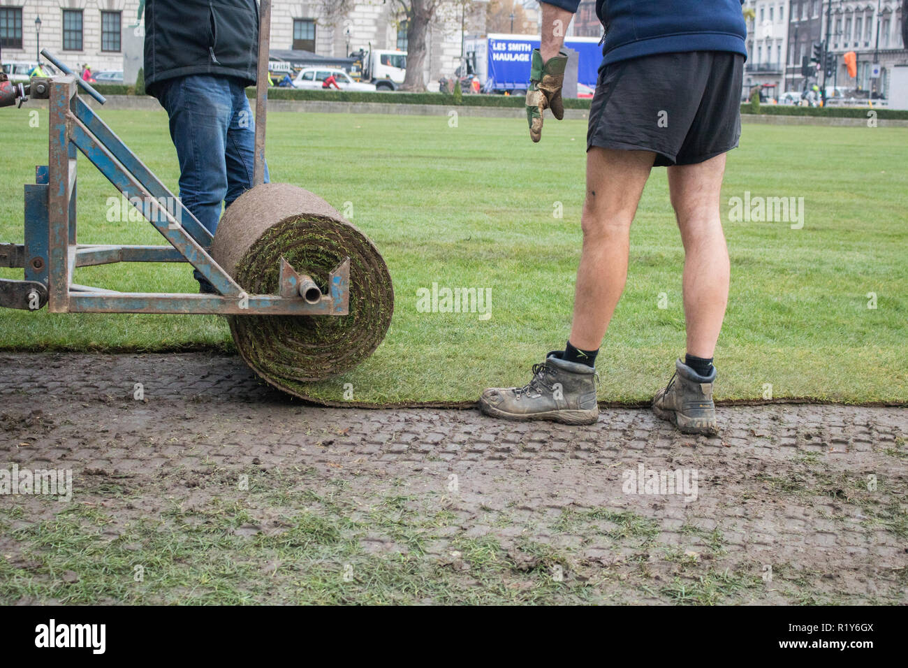 London UK. 15 novembre 2018. Jardiniers refaire Place du Parlement avec une nouvelle pelouse que la vieille herbe avait usé en raison d'un crédit d'été chaud et sec : amer ghazzal/Alamy Live News Banque D'Images