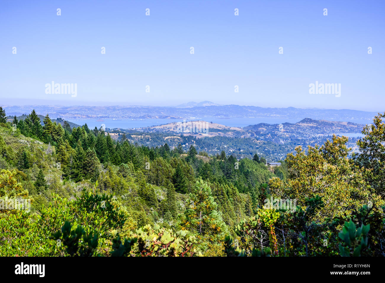 Vue aérienne des forêts du Mont Tamalpais State Park ; le rivage de la baie de San Francisco, Point Richmond et Mt Diablo visible à l'arrière-plan ; Mar Banque D'Images