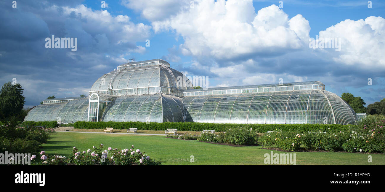 L'emblématique Maison tempérée présentant plus de 10 000 plantes dans la plus grande serre victorienne sculpturale au Royal Botanic Gardens de Kew, Engla Banque D'Images