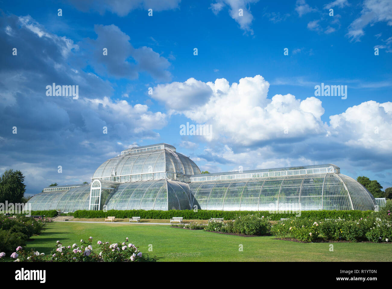 L'emblématique Maison tempérée présentant plus de 10 000 plantes dans la plus grande serre victorienne sculpturale au Royal Botanic Gardens de Kew, Engla Banque D'Images