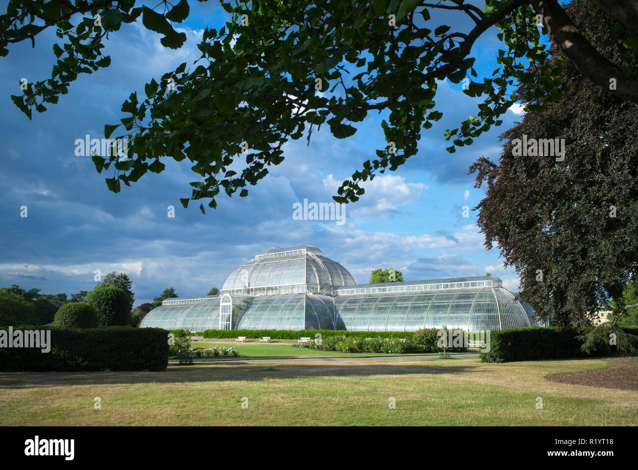 L'emblématique Maison tempérée présentant plus de 10 000 plantes dans la plus grande serre victorienne sculpturale au Royal Botanic Gardens de Kew, Engla Banque D'Images