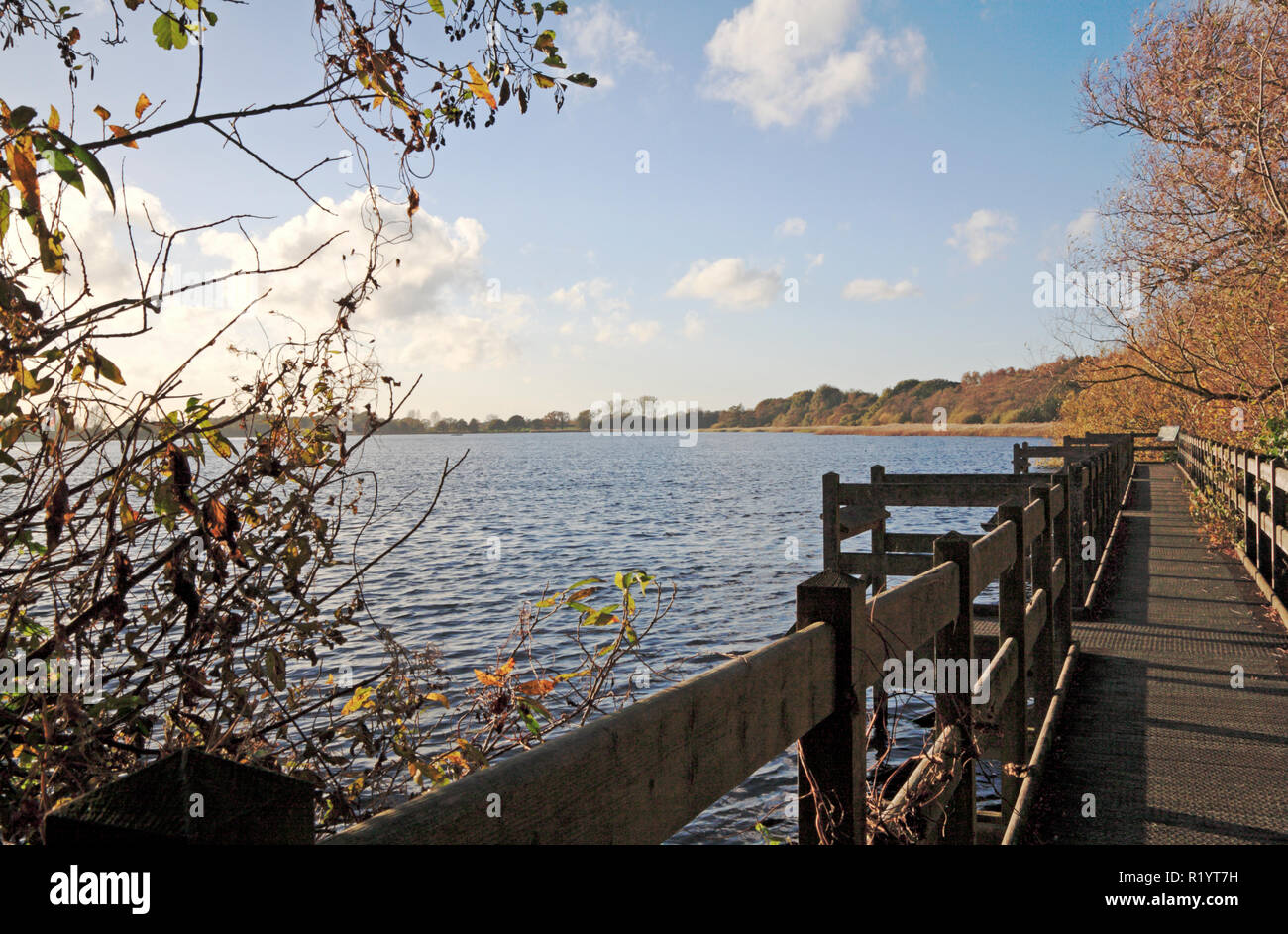 Une vue de Filby large avec promenade sur les Norfolk Broads à Filby, Norfolk, Angleterre, Royaume-Uni, Europe. Banque D'Images