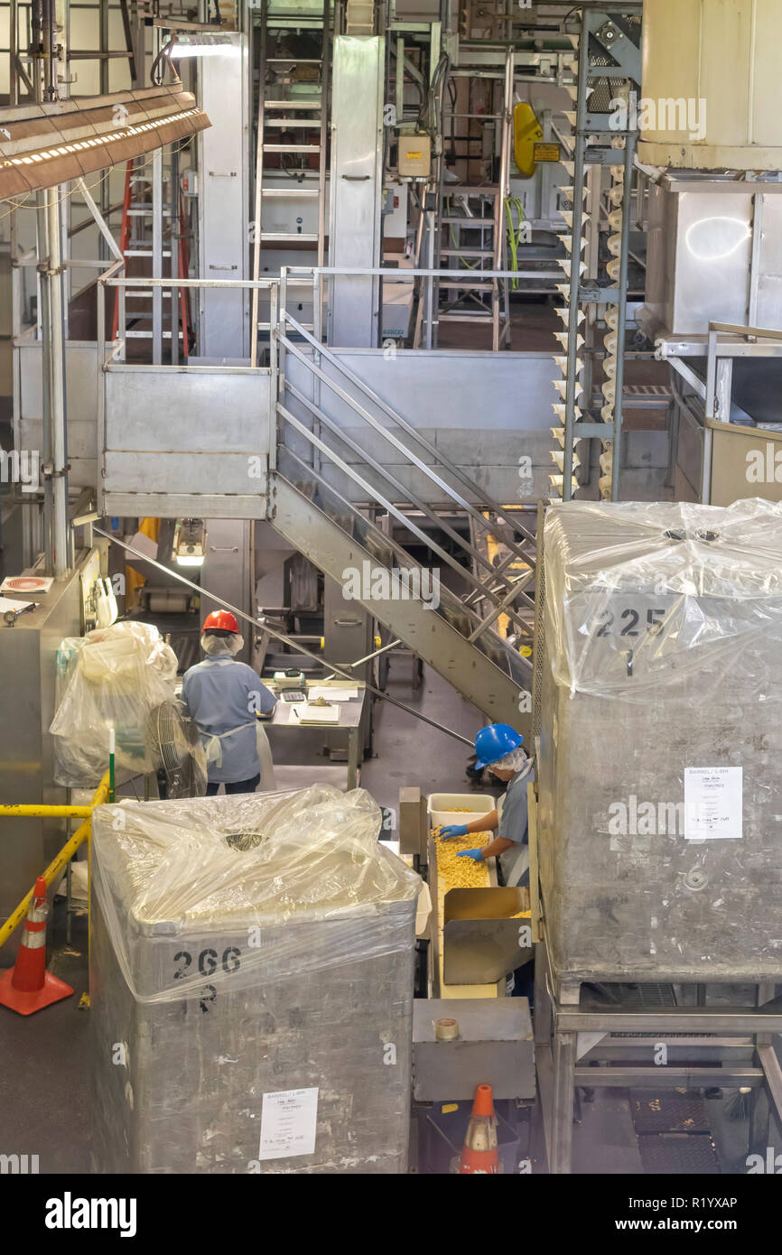 Noix de mauna loa macadamia Banque de photographies et d’images à haute