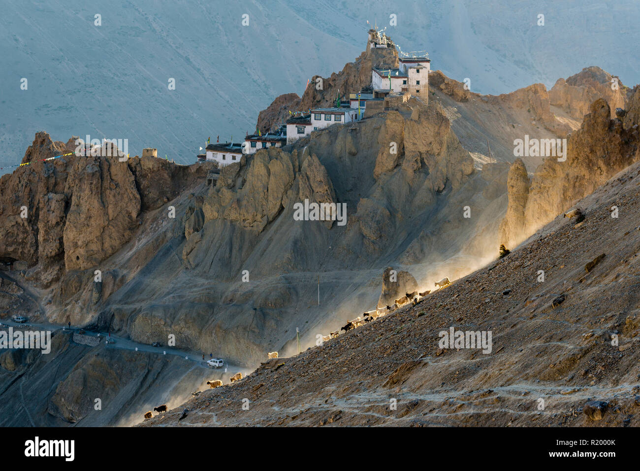 Un troupeau de moutons en descendant une pente dans la dernière lumière du jour. Dankhar Gompa, un monastère bouddhiste tibétain, dans l'arrière-plan Banque D'Images