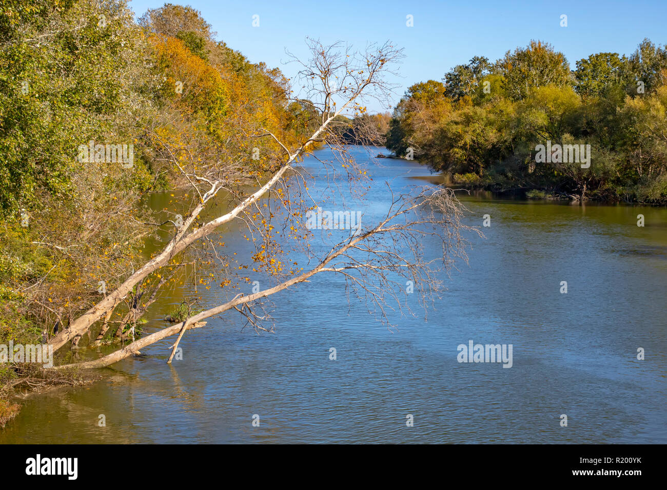 La rivière coule entre les arbres et arbustes couverts de feuillage de l'automne. Palaio Pyrgos. Grèce Banque D'Images