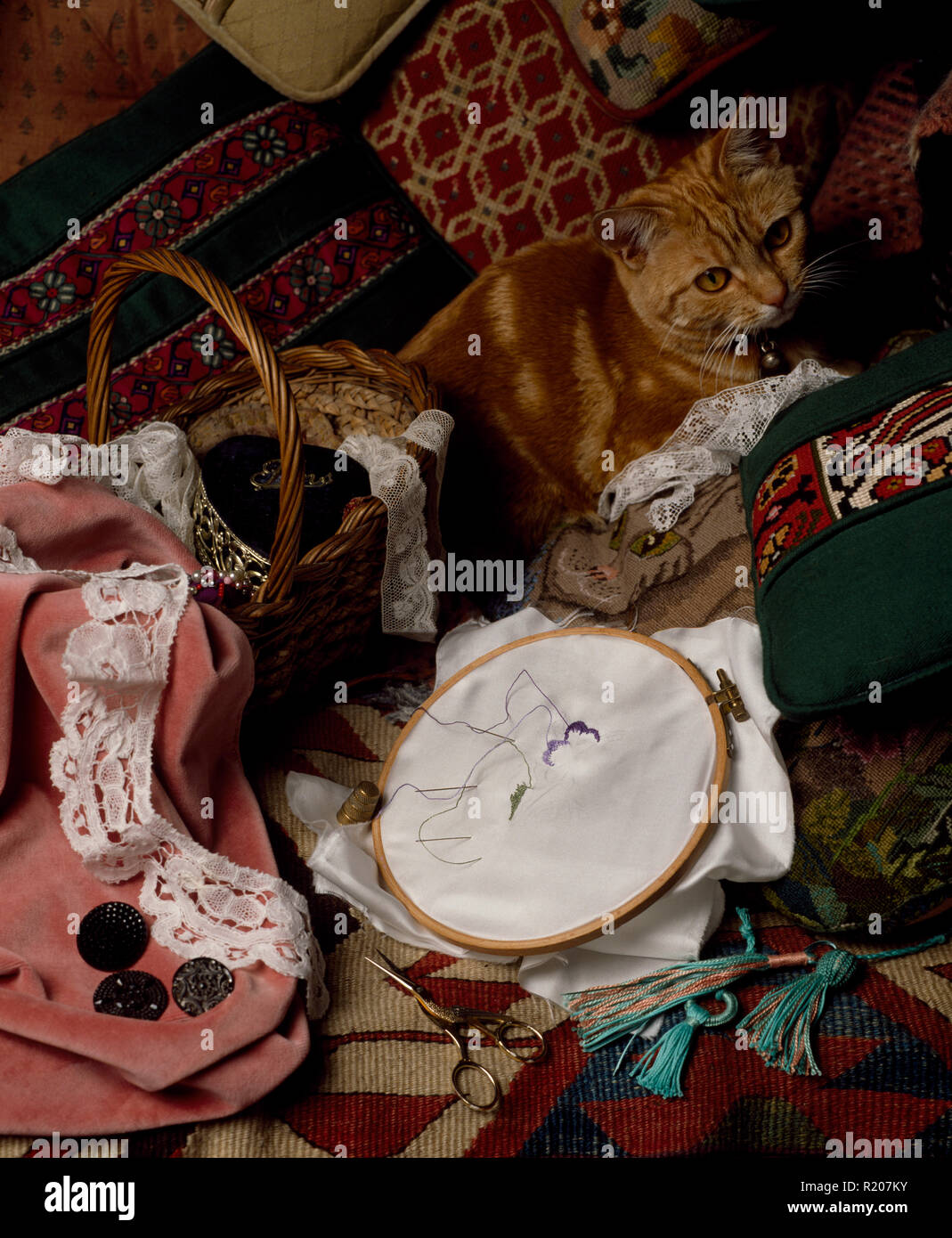Le gingembre cat assis parmi le matériel de couture Banque D'Images
