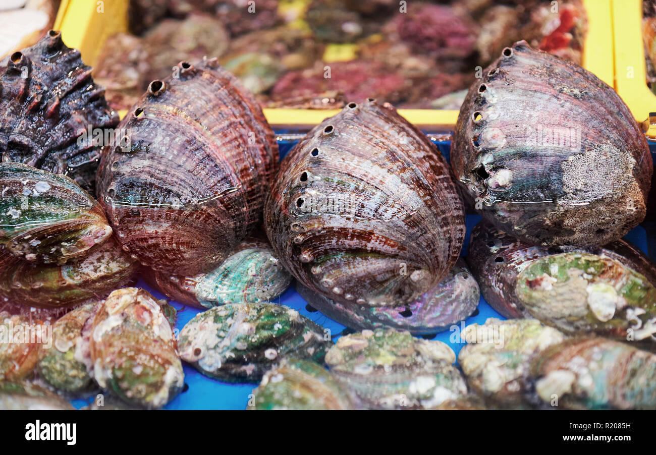 Vente de fruits frais et de turbo de shell du célèbre marché aux poissons de Jagalchi à Busan, Corée du Sud Banque D'Images