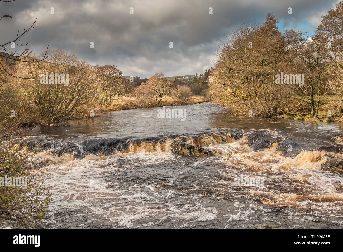 North Pennines Paysage de l'AONB, cascade sur la rivière tees de la Pennine Way entre petite et grande vigueur des Cascades à l'automne le soleil et un ciel sombre Banque D'Images