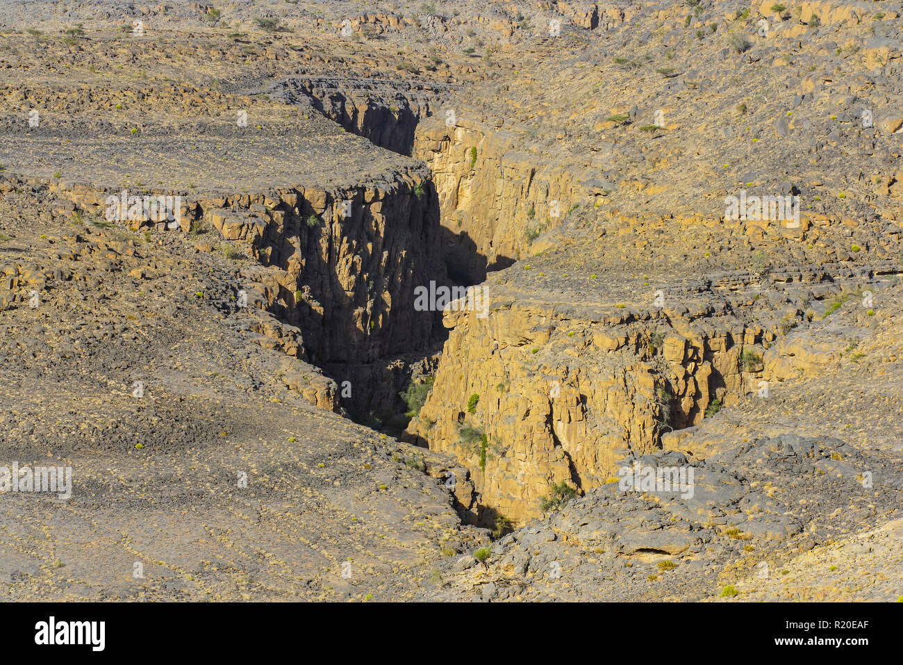 Vue panoramique de Jebel Akhar. Le Jebel Akhar (Al Jabal al Akhdar) fait partie de la gamme des montagnes Hajar Al dans Ad Dakhiliyah Gouvernorat d'Oman. Banque D'Images