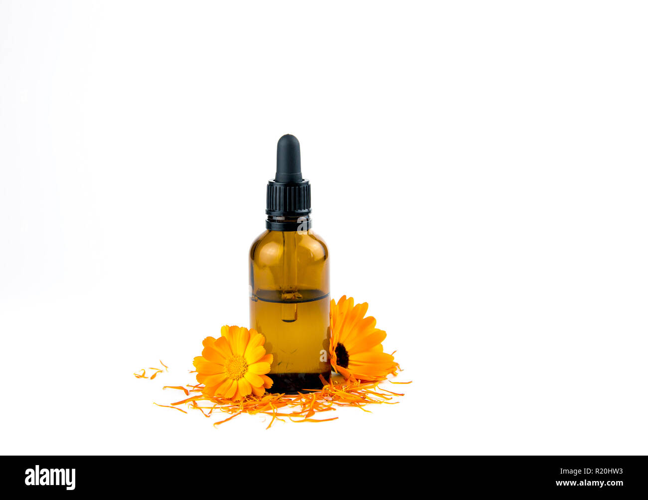 Calendula officinalis le souci officinal, ruddles, marigold commun ou Scotch marigold, teinture végétale ou d'huile dans la petite bouteille de verre brun pipette médicale Banque D'Images