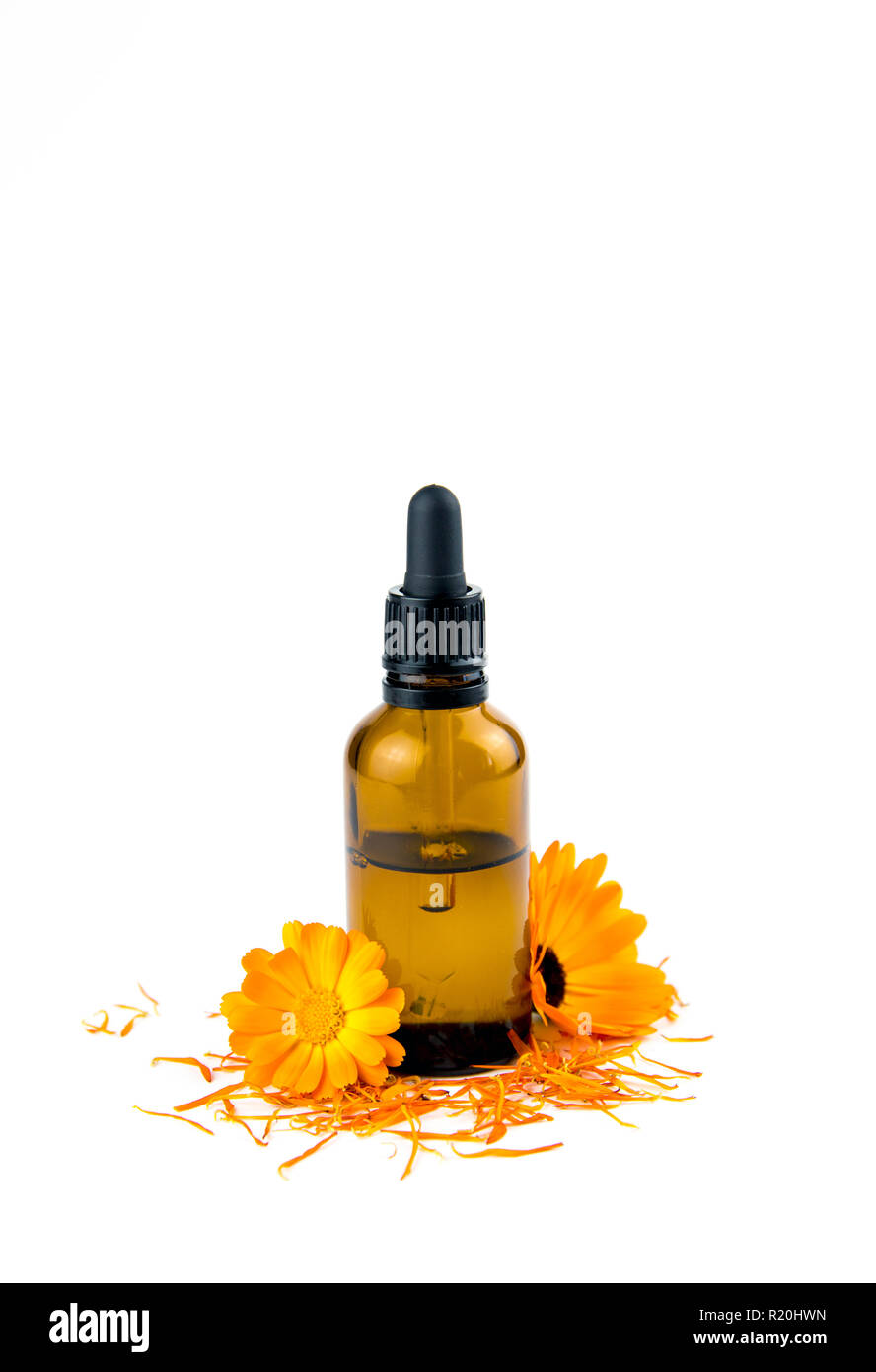 Calendula officinalis le souci officinal, ruddles, marigold commun ou Scotch marigold, teinture végétale ou d'huile dans la petite bouteille de verre brun pipette médicale Banque D'Images