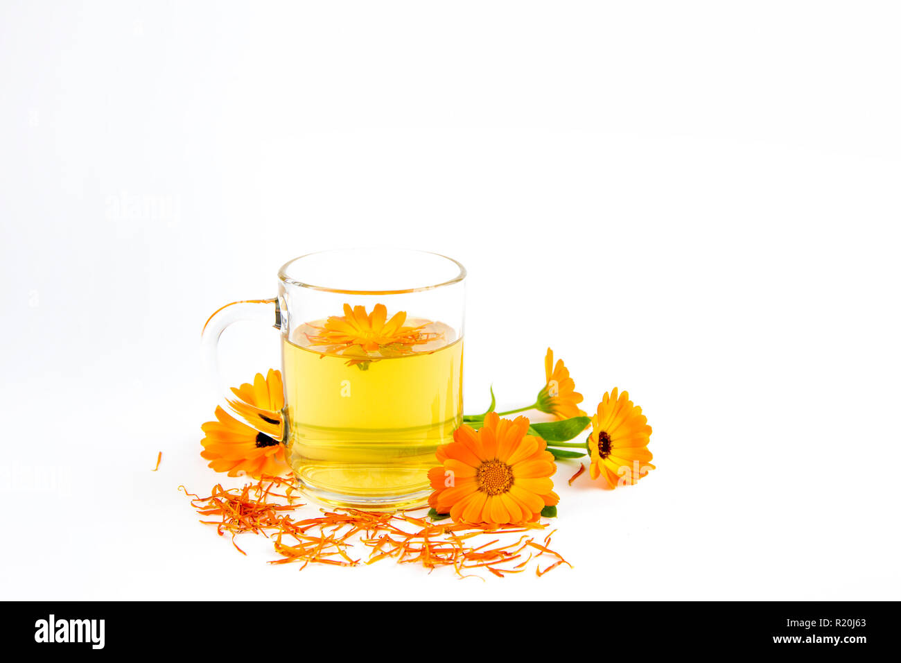 Calendula officinalis le souci officinal, ruddles, marigold commun ou Scotch, marigold fleurs plantes verre en verre clair, remède médical concept. Isol Banque D'Images