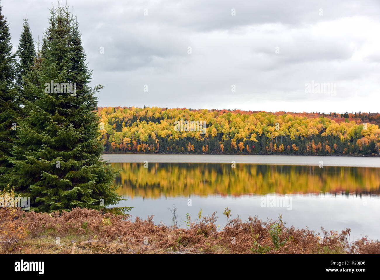 Saison d'automne, à côté de Val-d'Or (Québec) dans la région de l'Abitibi-Témiscamingue Banque D'Images Saison d'automne, à côté de Val-d'Or (Québec) dans la région de l'Abitibi-Témiscamingue Banque D'Images