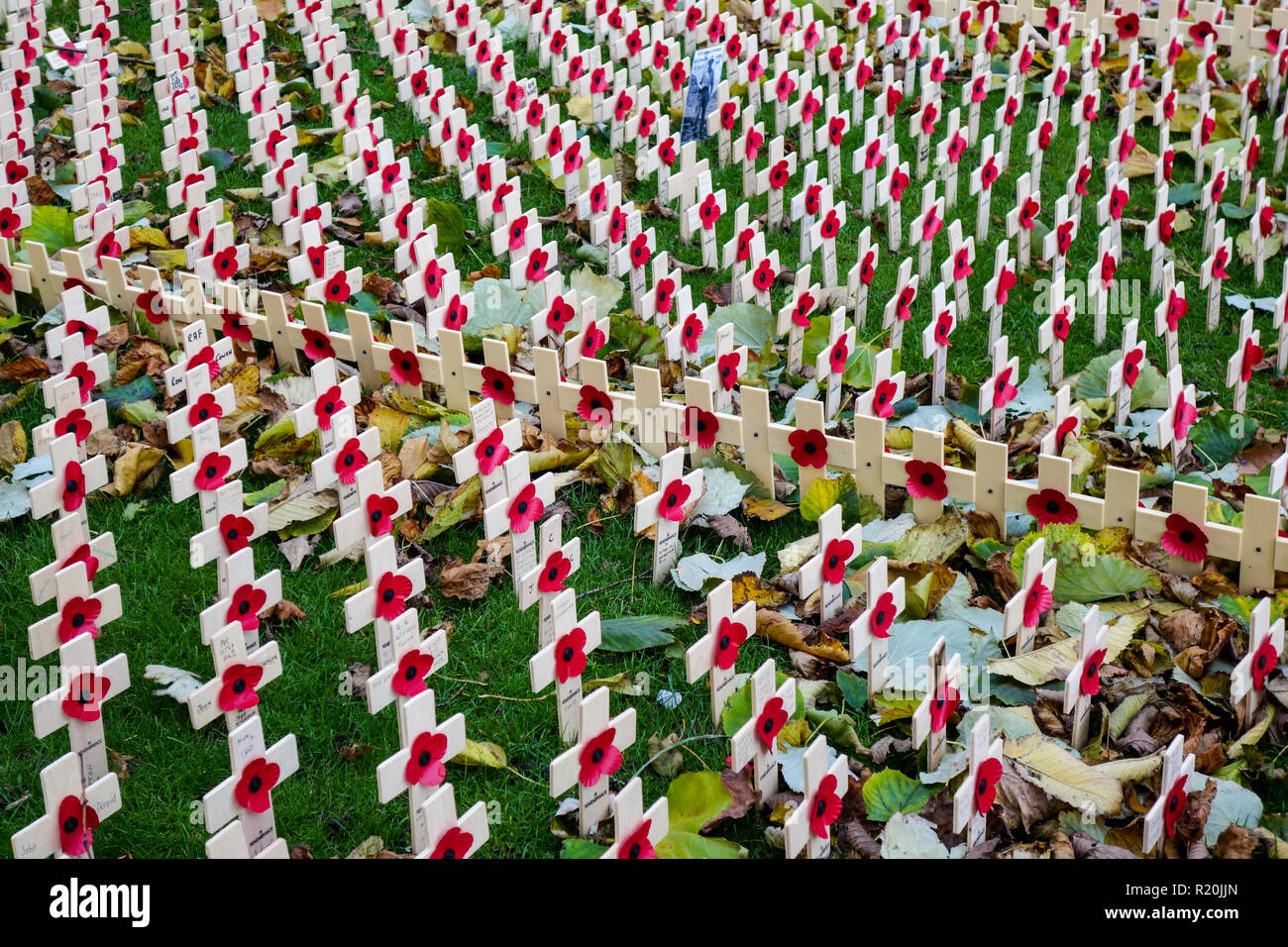 Coquelicots sur croix de bois au War Memorial Garden à Princes Street Gardens, Édimbourg Banque D'Images