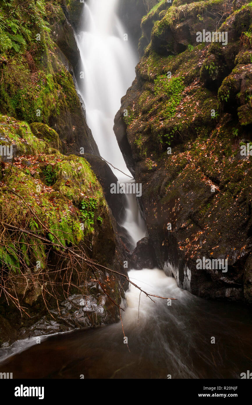 Chute dans un ruisseau rocheux à l'Aira Force dans le Lake District, en Angleterre Banque D'Images