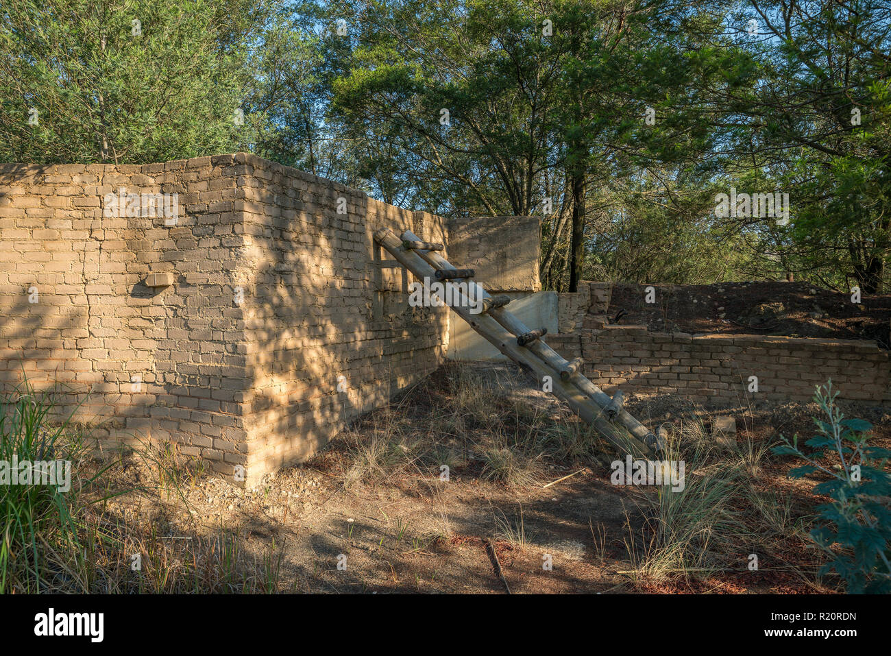 Lever du soleil à l'extérieur du parc safari Rhino Cullinan, Afrique du Sud Banque D'Images