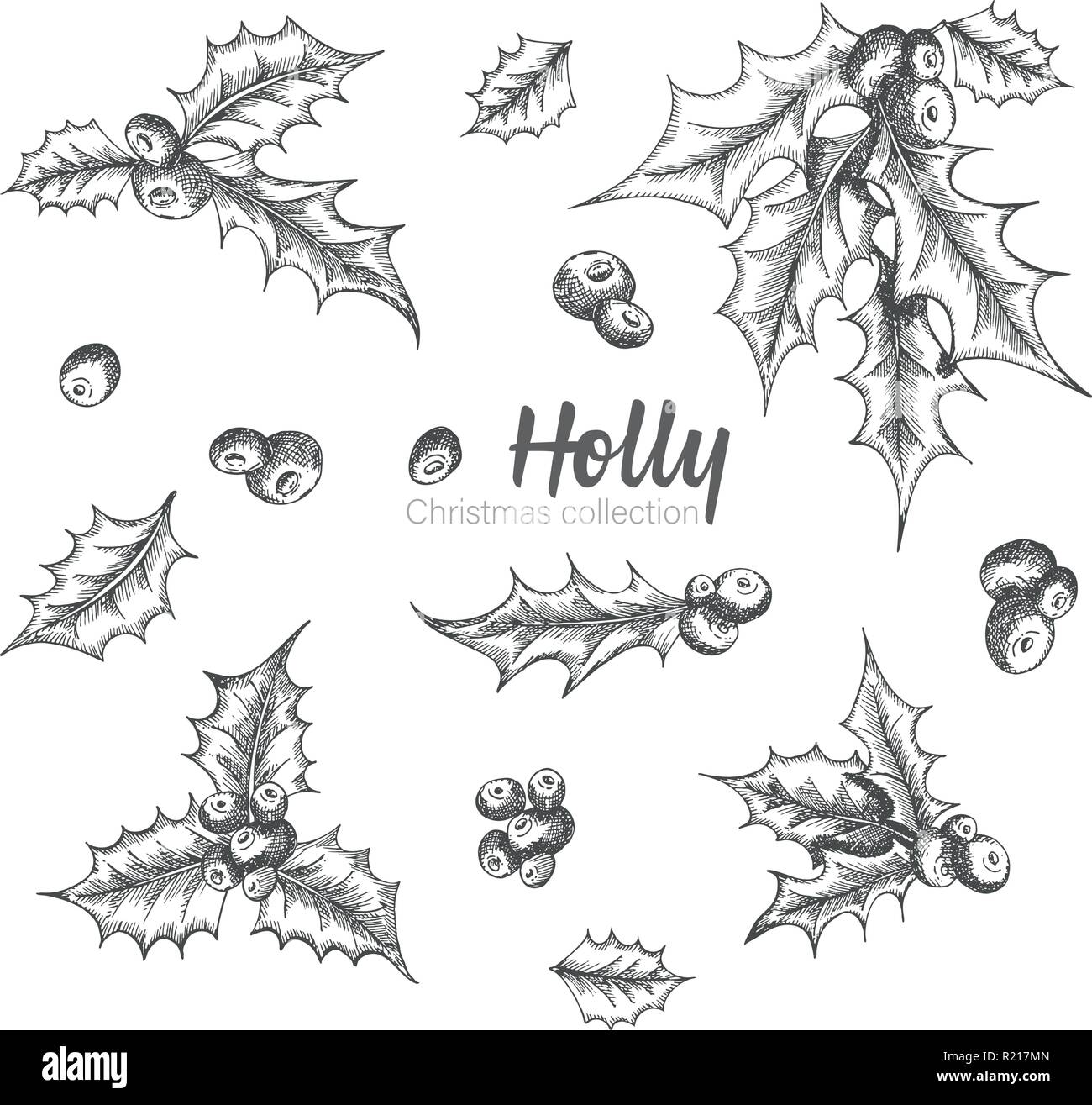 Ensemble de croquis dessinés à la main des branches de houx de Noël. Vintage style. Décoration de Noël traditionnel. Maison de design de carte de visite, invitation, affiche, bannière. Illustration de Vecteur
