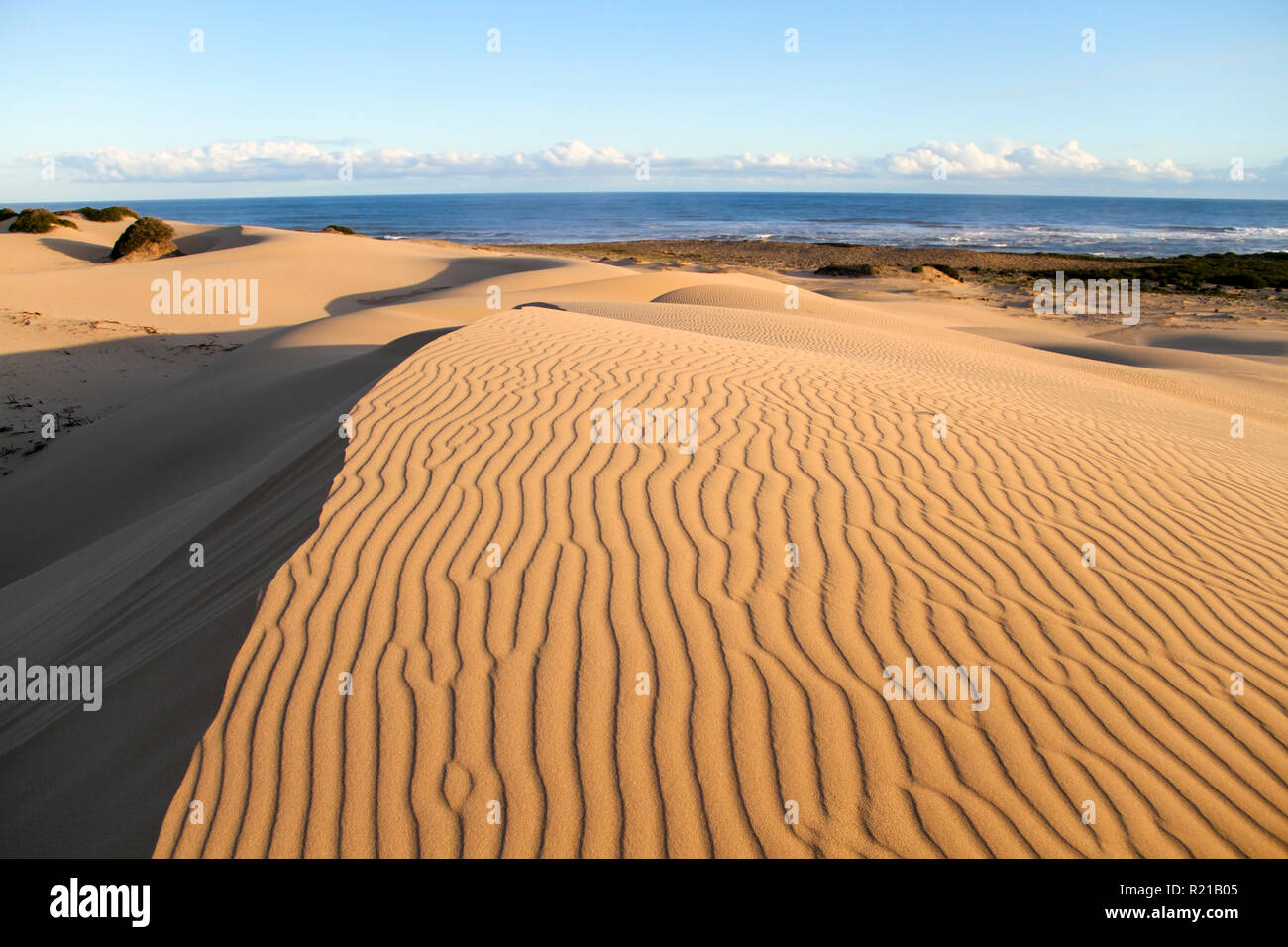 Nettoyer l'océan de dunes en arrière-plan Banque D'Images